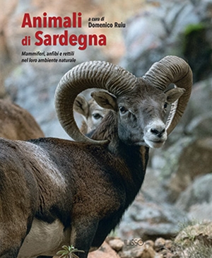 Further details: Animali di Sardegna | Ilisso | 2021